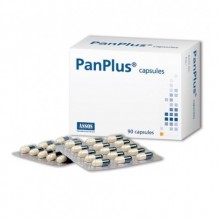 PAN PLUS 90 KAPSÜL